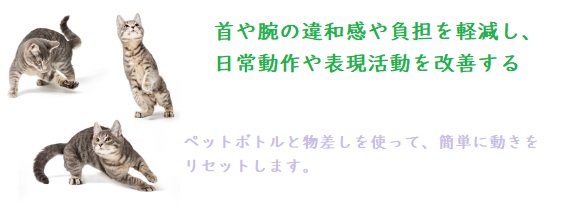 首や腕の違和感や負担を軽減し、日常動作や表現活動を改善する-オンライン・グループレッスン