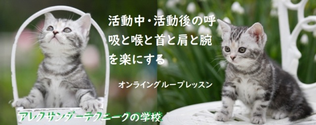 活動中・活動後の呼吸と喉と首と肩と腕を楽にする-アレクサンダ-テクニークの初心者向けグループレッスン(オンライン)